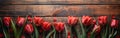 Vintage Tulip Border Frame on Wooden Background - Spring/Summer Flower Blossom in Vintage Colors Royalty Free Stock Photo