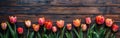 Vintage Tulip Border Frame on Wooden Background - Spring/Summer Flower Blossom in Vintage Colors Royalty Free Stock Photo