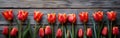 Vintage Tulip Border on Wooden Background - Spring/Summer Floral Design in Vintage Colors Royalty Free Stock Photo