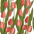 Vintage tulip seamless pattern of bright flowers and leaves. Vector. Royalty Free Stock Photo