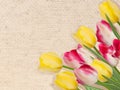 Vintage tulips on canvas. EPS 10