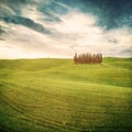 Vintage tuscan landscape Royalty Free Stock Photo