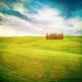 Vintage tuscan landscape Royalty Free Stock Photo