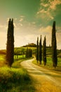 Vintage Tuscany countryside landscape Royalty Free Stock Photo