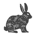 Vintage typographic rabbit butcher cuts diagram Vector