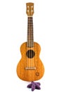 Vintage ukulele Royalty Free Stock Photo