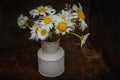 Daisy blooming flowers- vintage vase metal