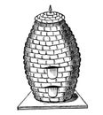 Vintage Vector Drawing or Engraving of Antique Old Style Bee Hive or Beehive Made From Straw