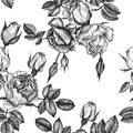 Vintage vector floral seamless pattern Royalty Free Stock Photo