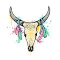 The painted native totem, cow skull with feathers, Royalty Free Stock Photo