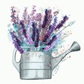 Vintage vector illustration with water can and lavender flowers, watercolor French style