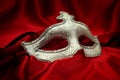 Vintage venetian carnival mask