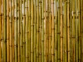 Vintage vertical brown and green bamboo fence texture background