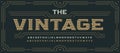 Vintage victorian style letters, classic serif font. Decorative elegant alphabet for rustic logo, old western lettering