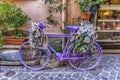 Vintage violet bicycle with flowers and laces Royalty Free Stock Photo