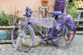 Vintage violet bicycle with flowers and laces Royalty Free Stock Photo