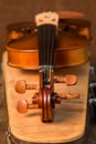 Vintage violin and case Royalty Free Stock Photo