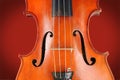 Vintage Violin - Close Up View Royalty Free Stock Photo