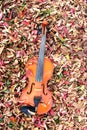 Vintage violin in a leaf Royalty Free Stock Photo