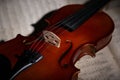 Vintage violin on the sheet music. Royalty Free Stock Photo