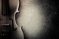 Vintage violine Royalty Free Stock Photo