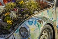 Vintage Volkswagen Beetle, decorated with spring flowers Royalty Free Stock Photo