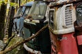 Vintage Antique Car - Junkyard in Autumn - Abandoned Volkswagen Type 2 / Bus - Pennsylvania