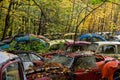Vintage Antique Cars - Junkyard in Autumn - Abandoned Volkswagens - Pennsylvania Royalty Free Stock Photo