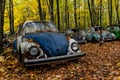 Vintage VW Beetle - Volkswagen Type I - Pennsylvania Junkyard Royalty Free Stock Photo