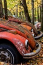 Vintage VW Beetle - Volkswagen Type I - Pennsylvania Junkyard