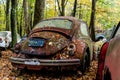 Vintage VW Beetle - Volkswagen Type I - Pennsylvania Junkyard Royalty Free Stock Photo