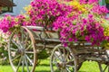 Vintage wagon decorated with annual flowers III