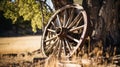 Vintage wagon wheel leans against tree outdoors Royalty Free Stock Photo