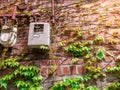Vintage wall tree green leaf and old electronic control on red brick.Outdoor sunshine light flare. Royalty Free Stock Photo