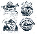 Vintage Walleye Fishing Emblems and Labels.