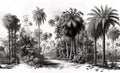 Vintage wallpaper an oasis of palm trees, mountains with birds with a black and white