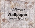 Vintage wallpaper Vector. Royal ornament. Elegant pattern texture. Old stained effects Royalty Free Stock Photo