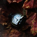 Vintage watch on the autumn leaves