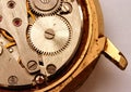 Vintage watch mechanism Royalty Free Stock Photo