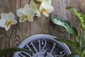 Vintage watch with room flowers on a wooden background.