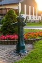 Vintage Water Pump Amidst Sunset Blooms Royalty Free Stock Photo