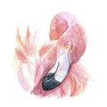 Vintage watercolor card with pink flamingo background.