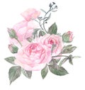 Vintage watercolor illustration with floral arrangement of delicate roses Royalty Free Stock Photo