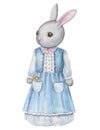 Cute Watercolor bunny mother