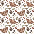 Vintage watercolor seamless pattern with butterfly, moth, pine cone, alder catkins, seeds, acorn, berries isolated.