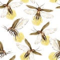 Vintage watercolor seamless pattern with glowing fireflies on white background. Royalty Free Stock Photo