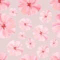 Vintage watercolor seamless pattern with pink hibiskus. Watercolor natural botanical illustration with summer flowers on grey back