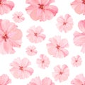 Vintage watercolor seamless pattern with pink hibiskus. Watercolor natural botanical illustration with summer flowers on white bac