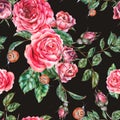 Vintage watercolor seamless pattern of red roses, Nature texture with flowers, leaf,  buds and snail Royalty Free Stock Photo