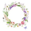 Vintage watercolor summer purple meadow wildflowers wreath